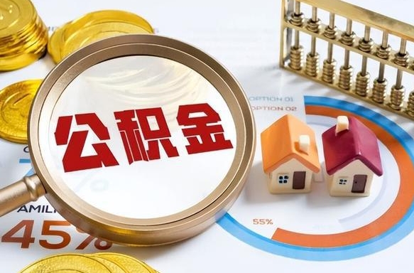 新野离职6个月后公积金无法提取（新野离职6个月后公积金无法提取 知乎）